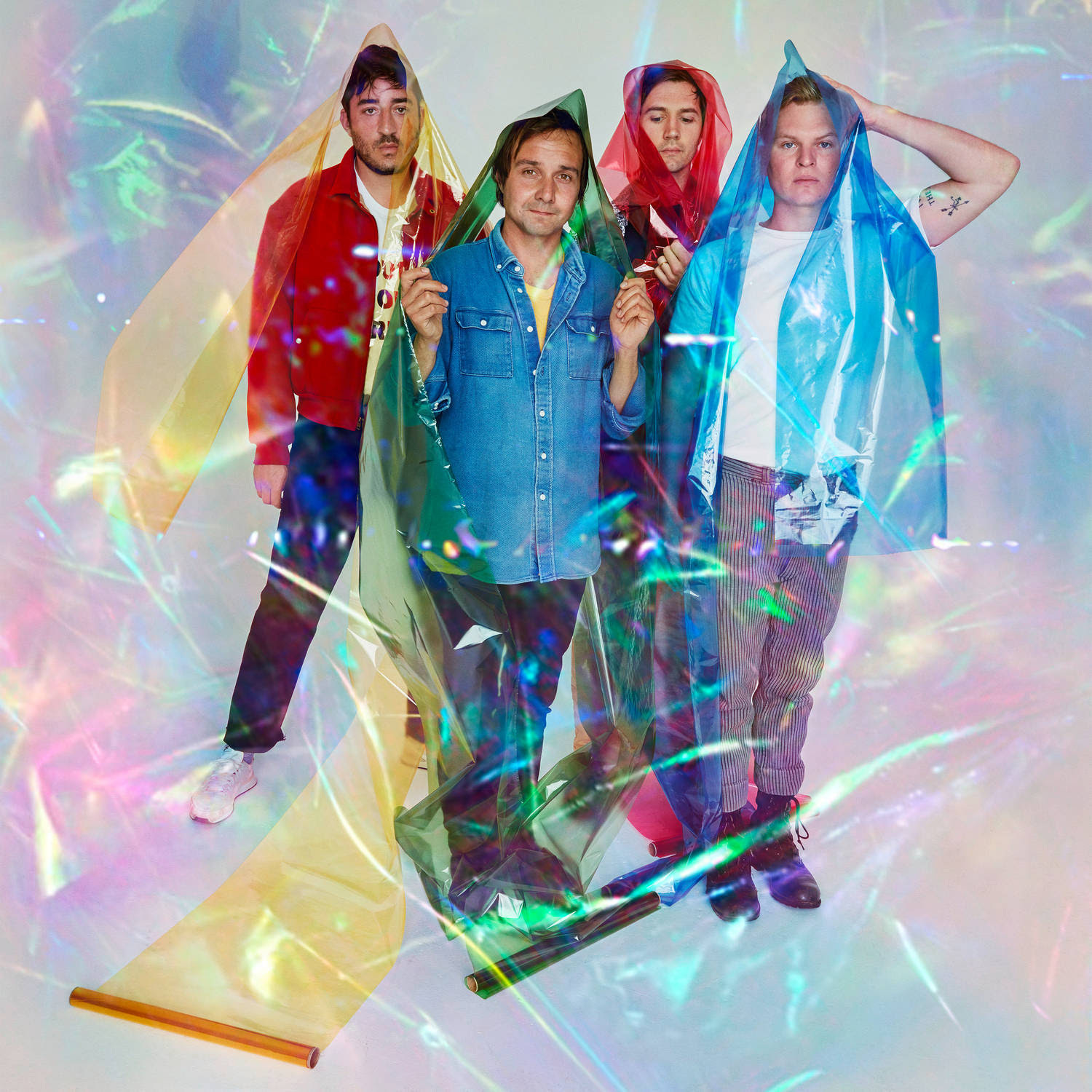Grizzly bear jul17