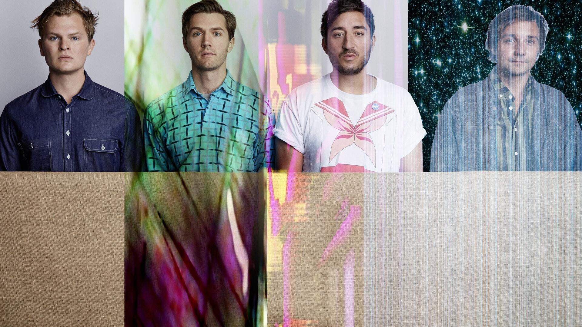 Grizzly bear jun17