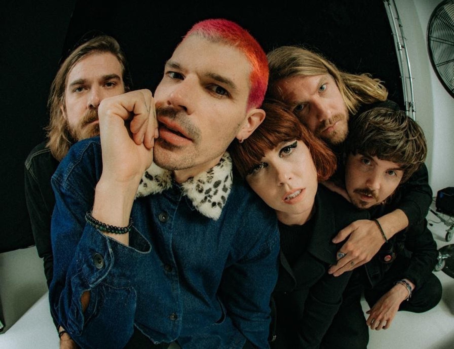 Grouplove james marcus haney