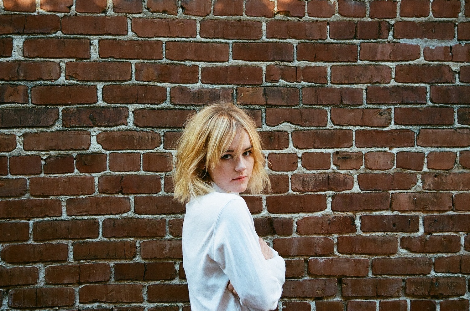 Harlan 2019