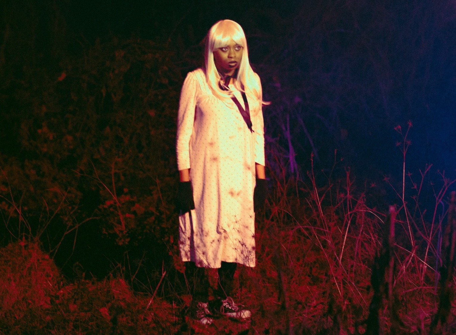 Hemlocke springs press shot