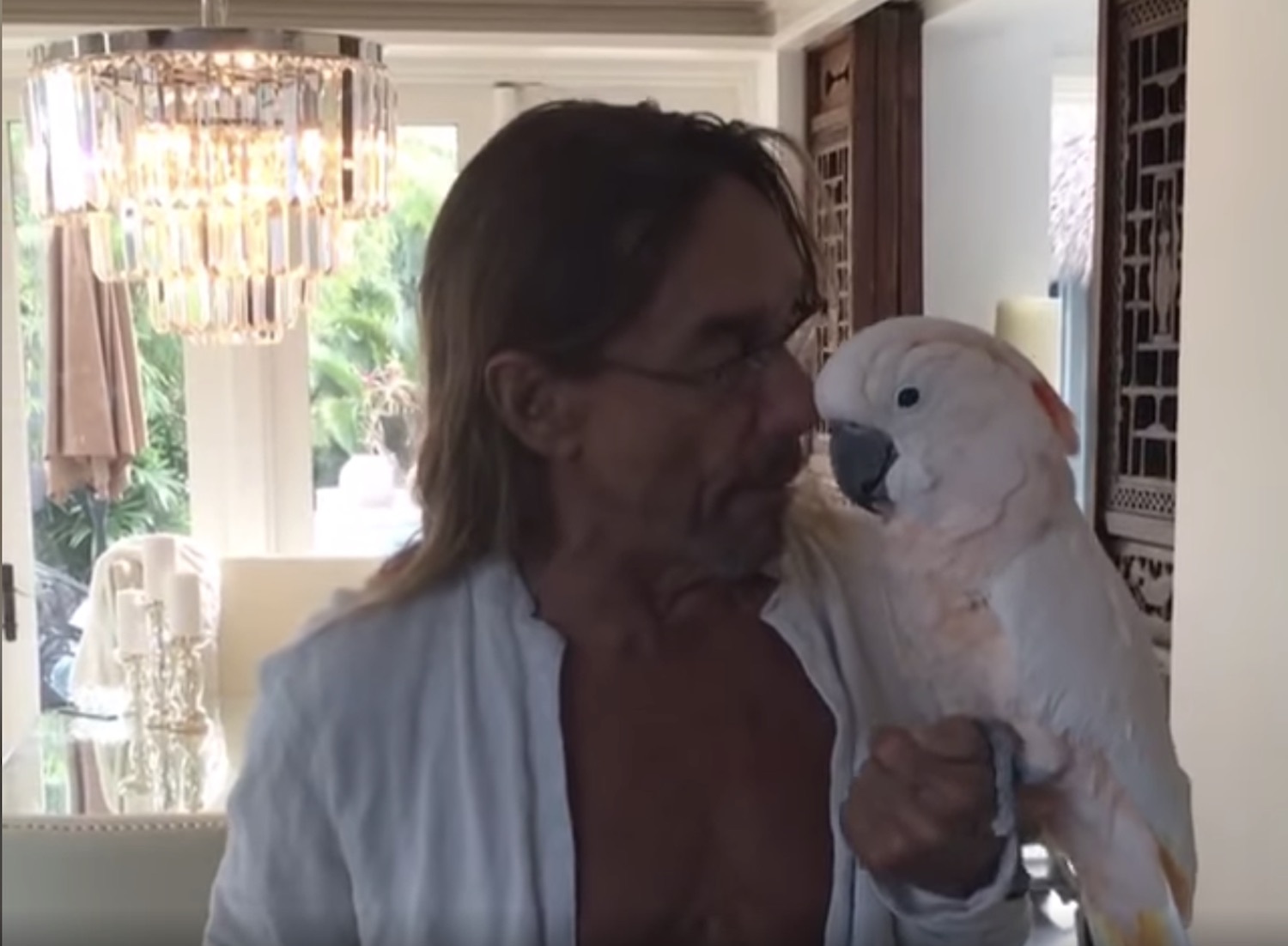 Iggy pop biggy pop birds the word video