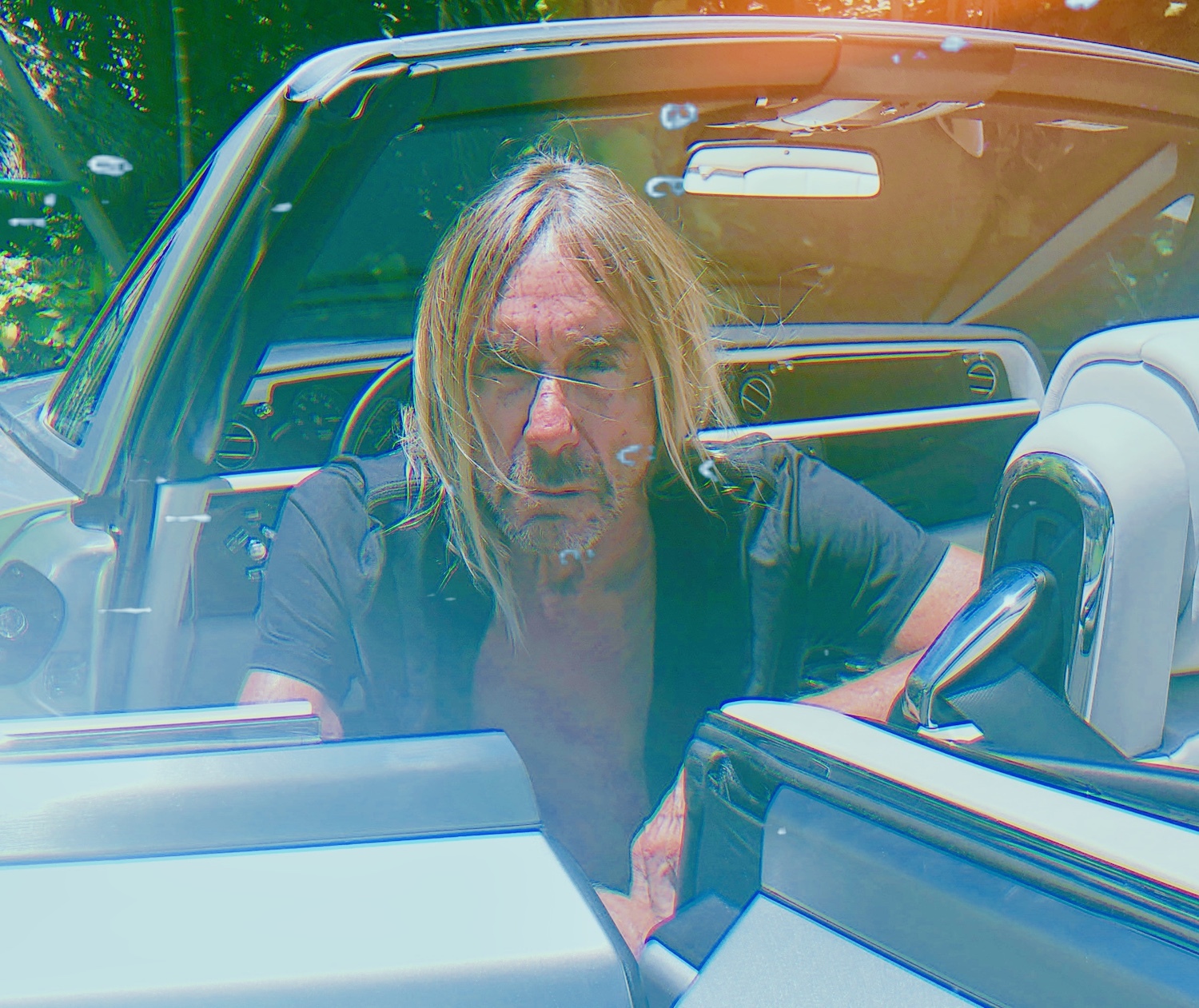 Iggy pop harmony korine