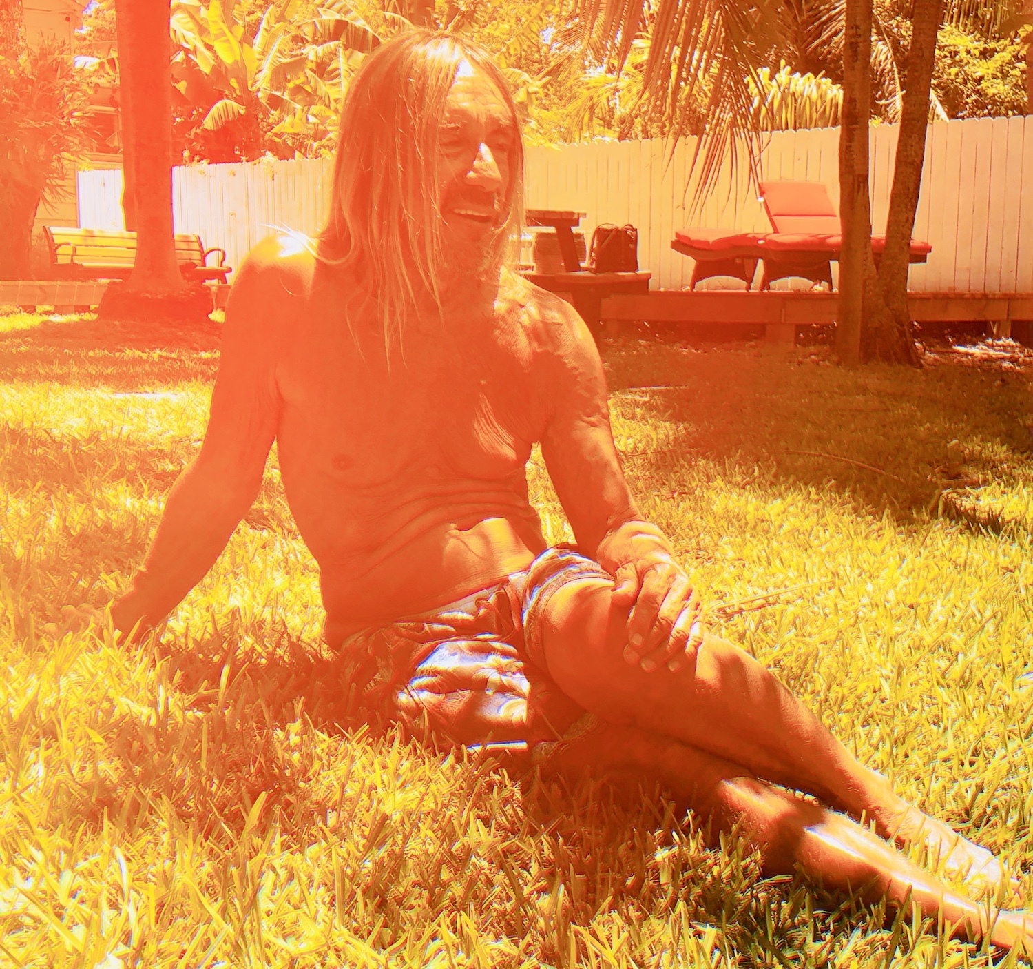 Iggy pop james bond