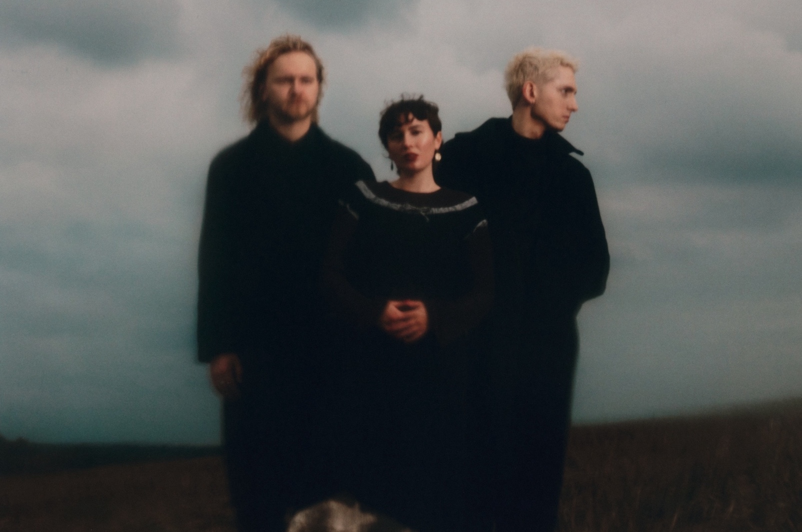 deary Birding announce