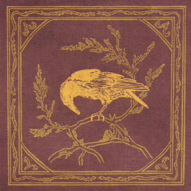 Curiosity Shop Bound For The Sky