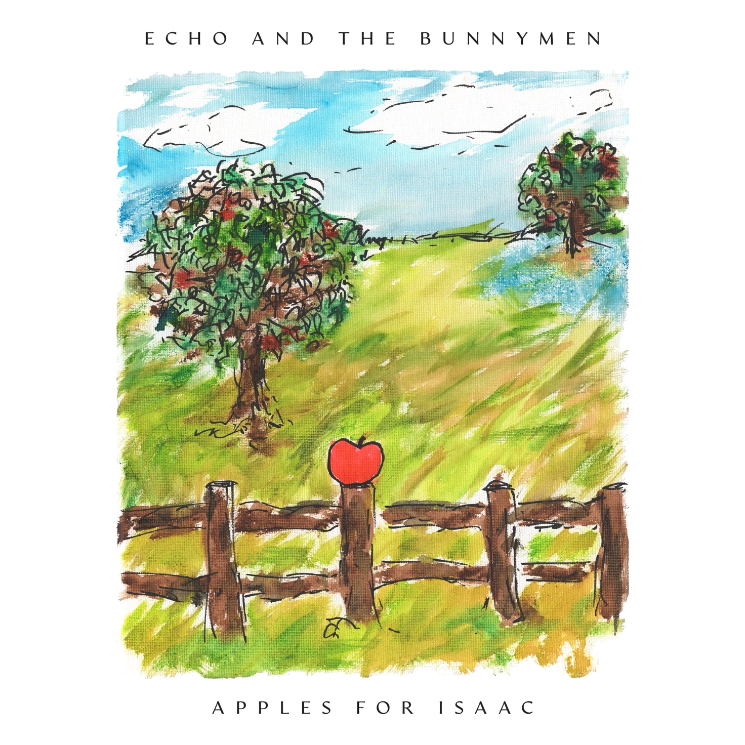 echo and the bunnymen apples for Isaac cover