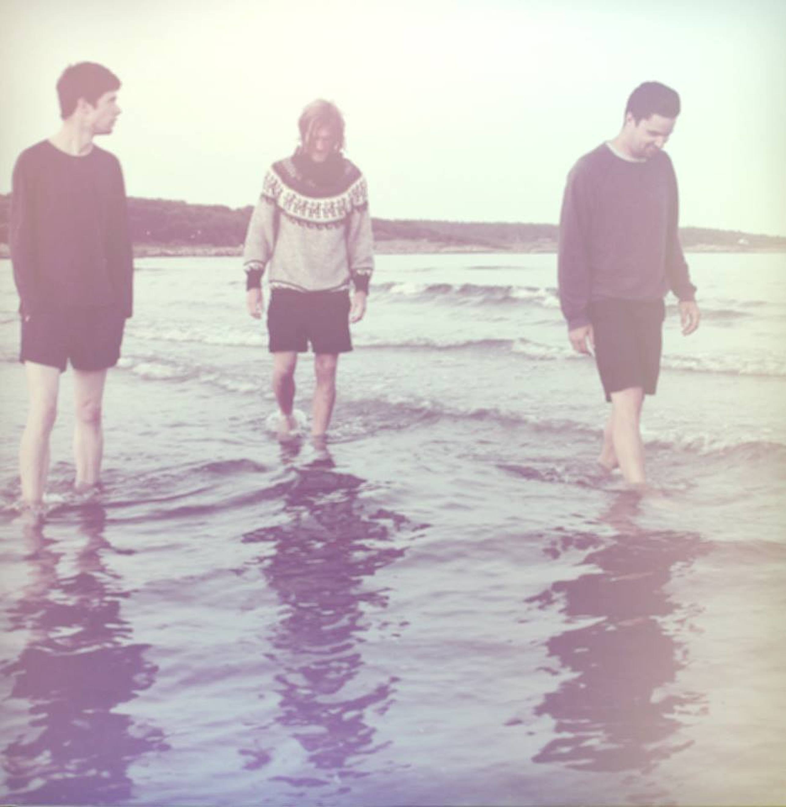 Intertwine polaroid v1