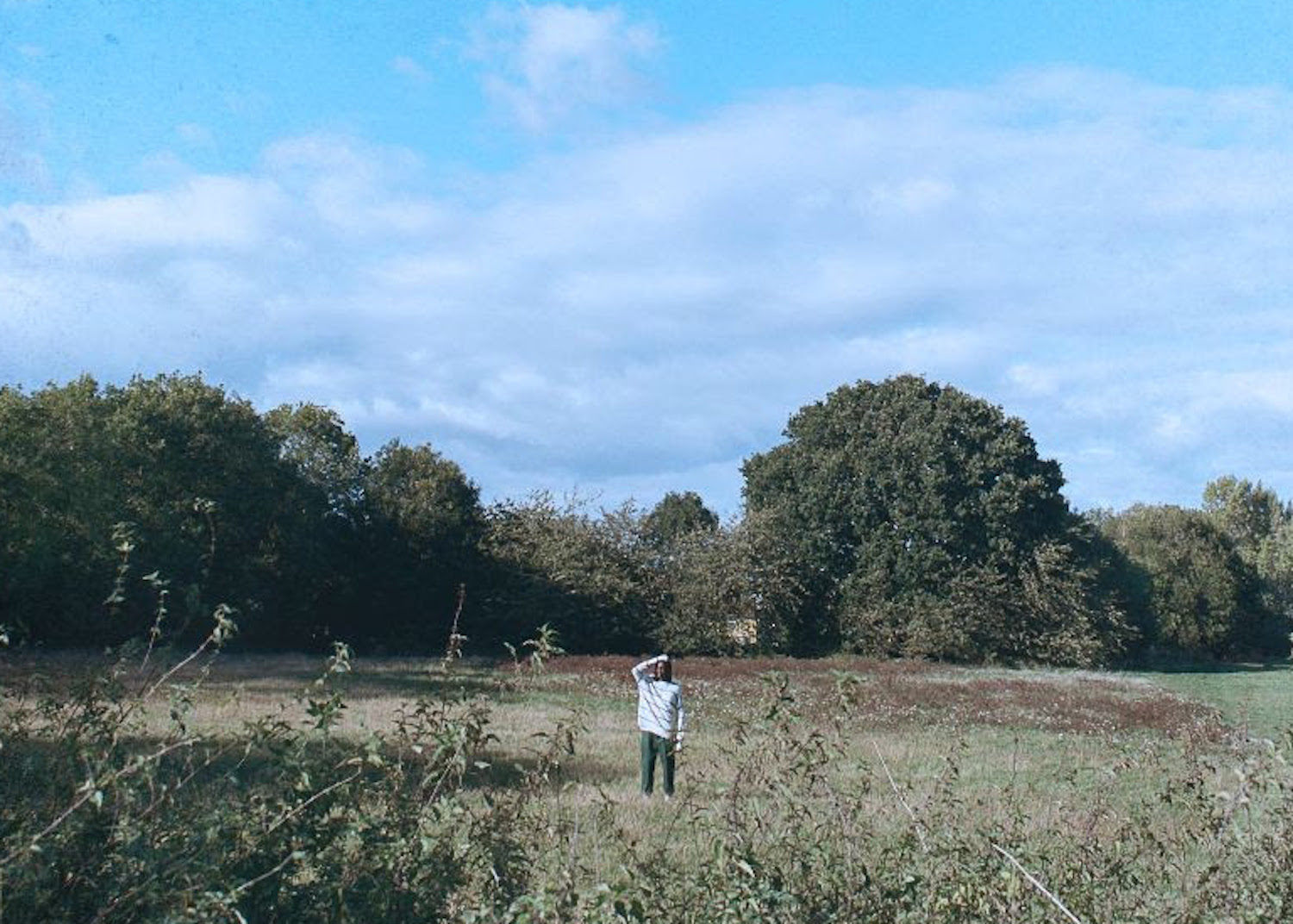 Karl benjamin friends artwork