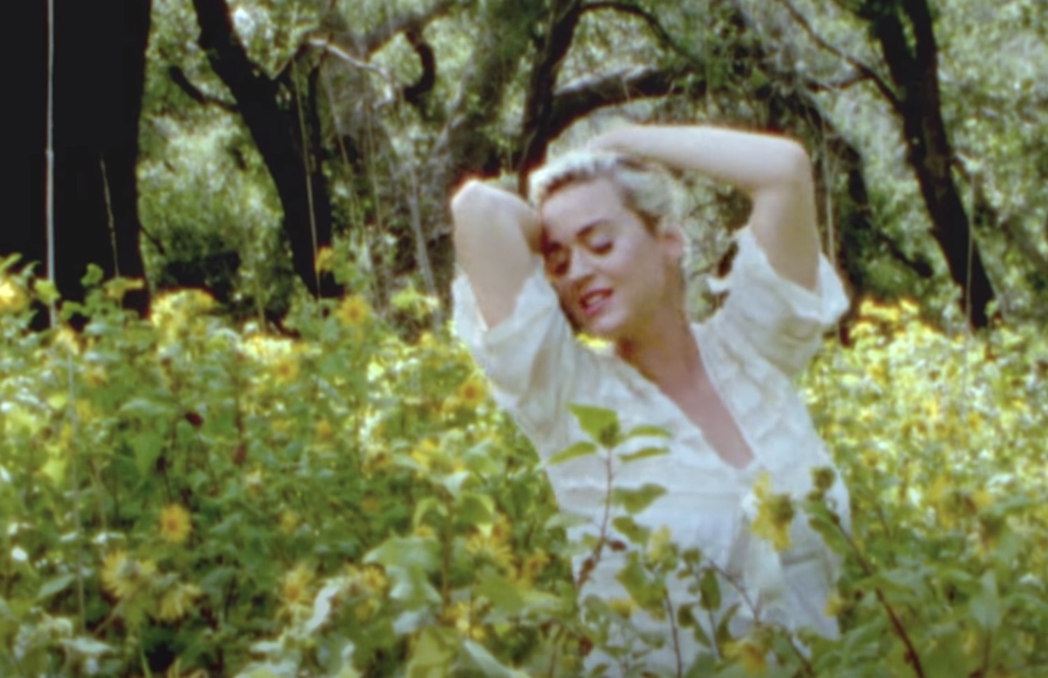 Katy perry daisies video