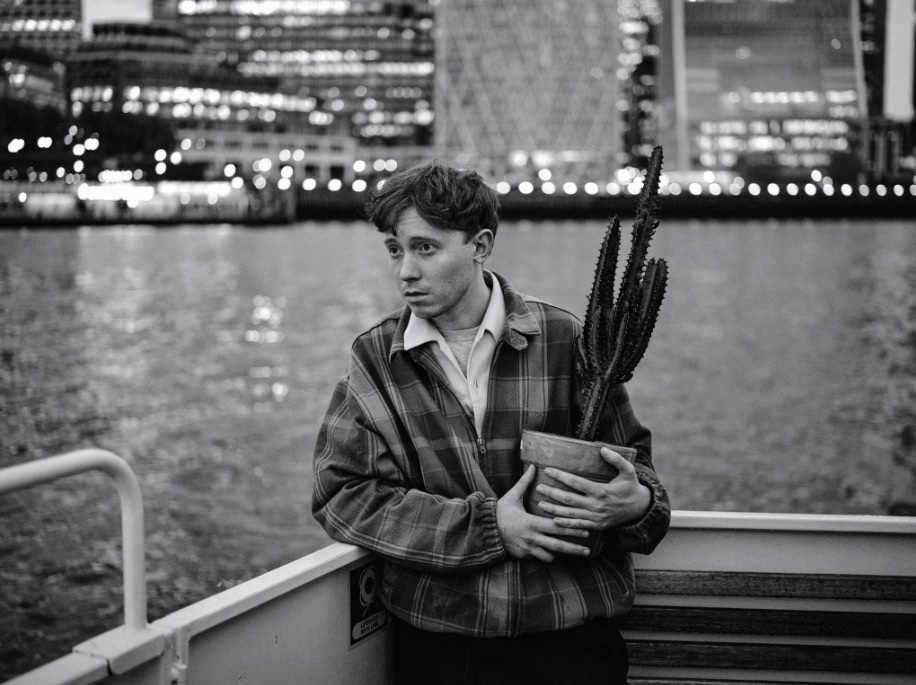 King krule cactus 2023