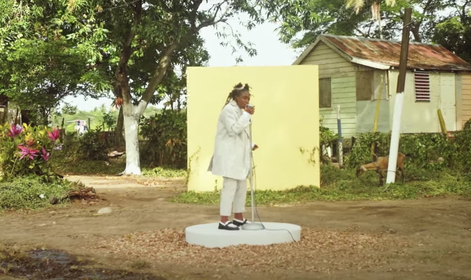 Koffee pressure video