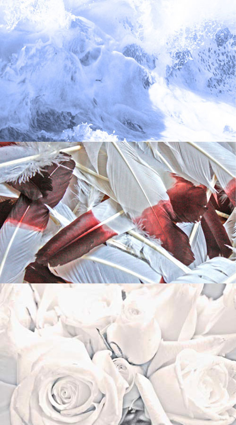 Korallvreven artwork