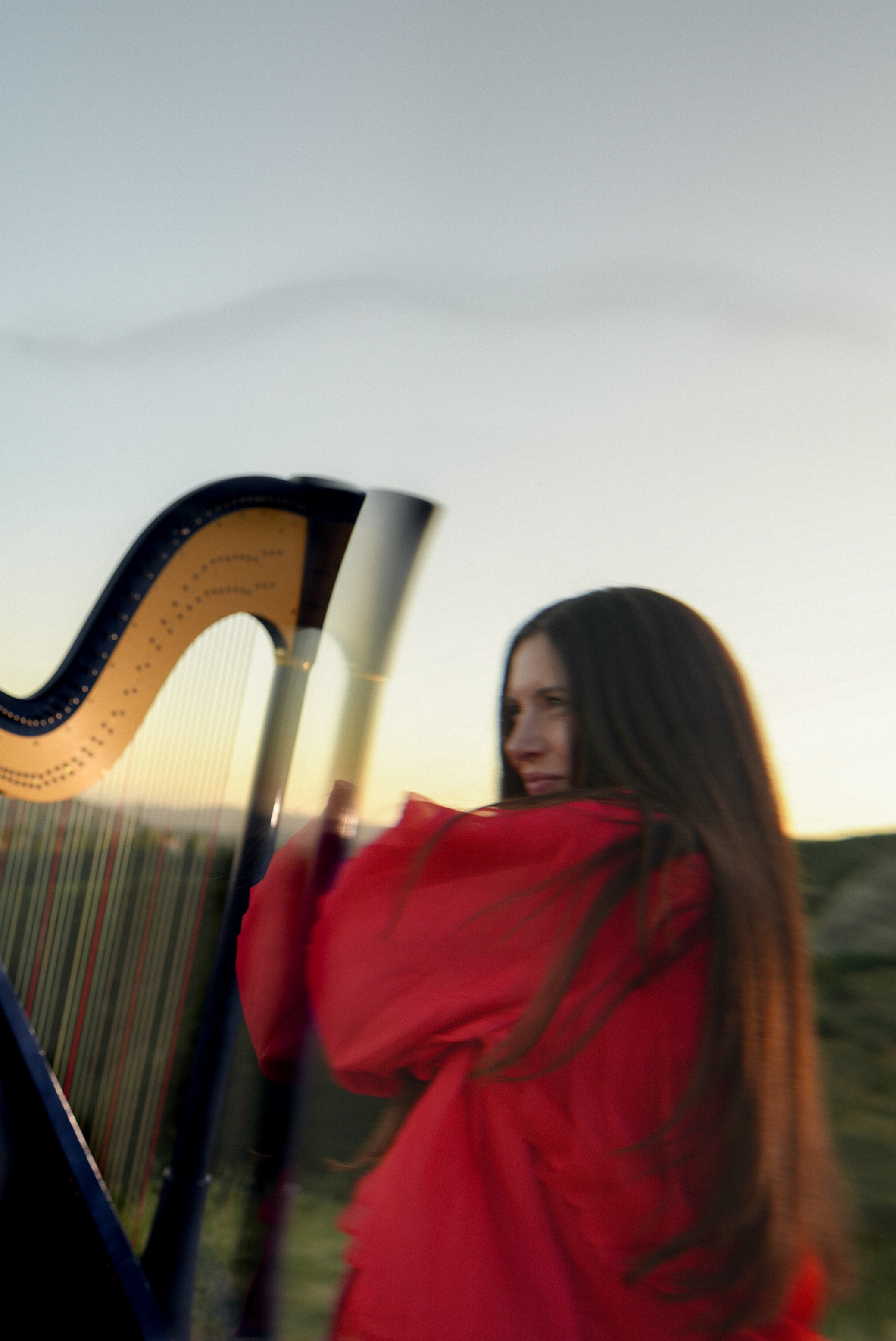 Lara somogyi article 2