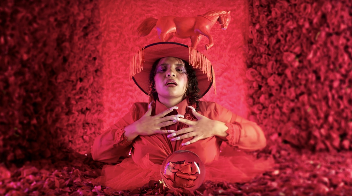Lido pimienta no pude video