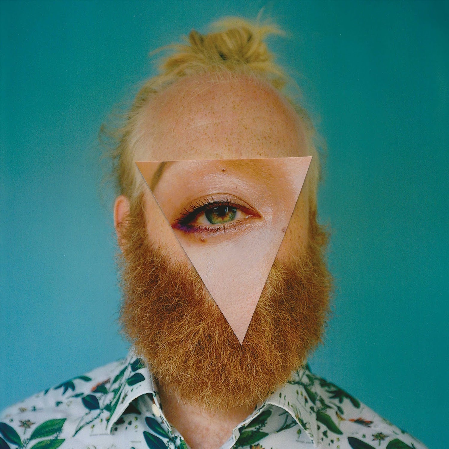 Little dragon 2018