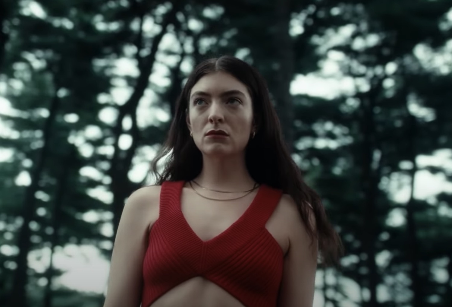 Lorde bogue break the ice fallen fruit youtube