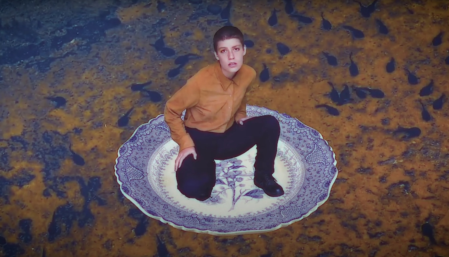 Lost horizons porridge radio one for regret video