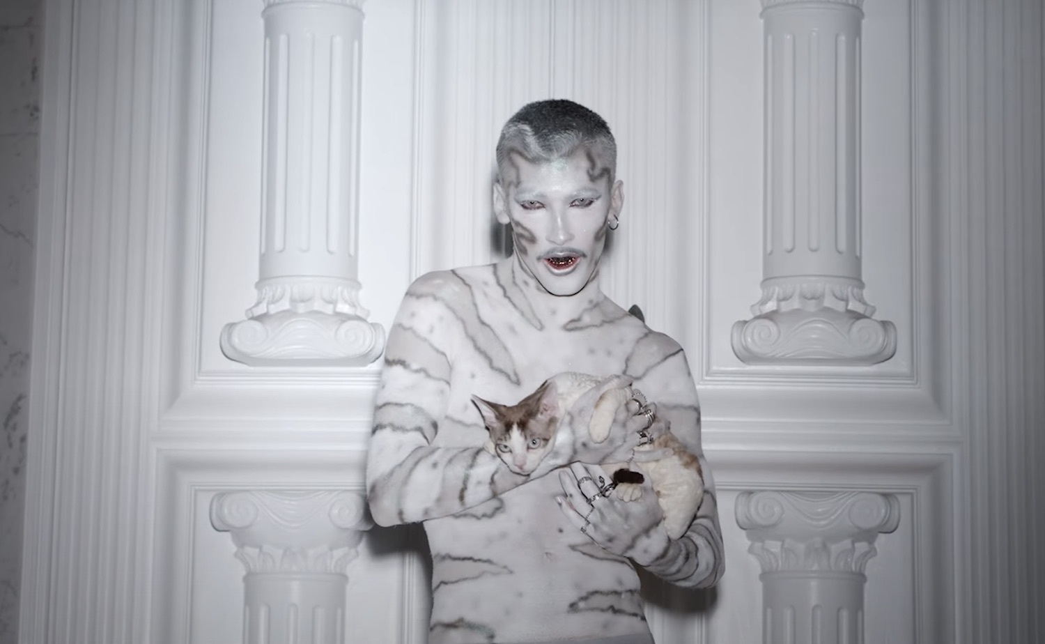 Loveleo rico nasty tung tied video youtube