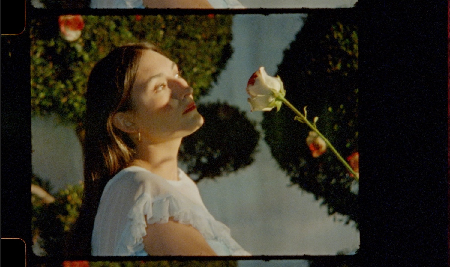 Midnight sister wednesday baby video