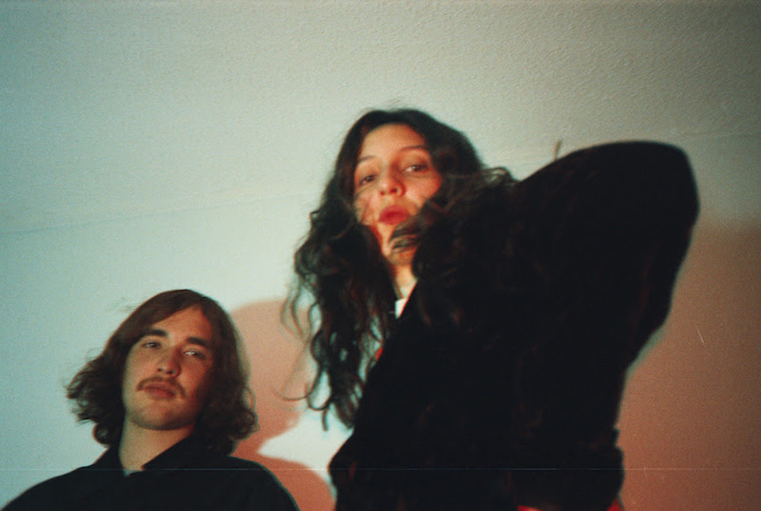 Mint field mirando rosales