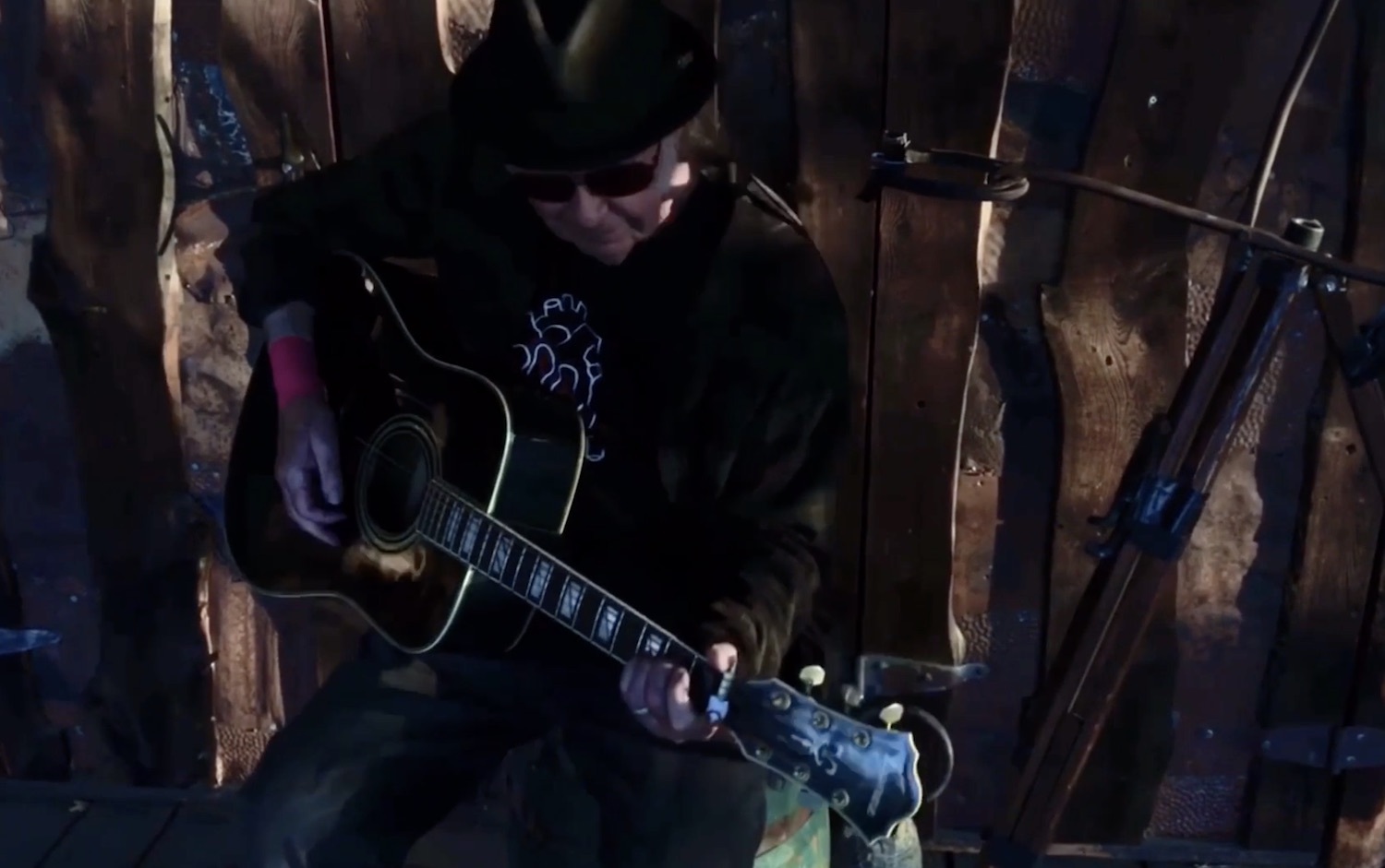 Neil young lookin for a leader 2020 version