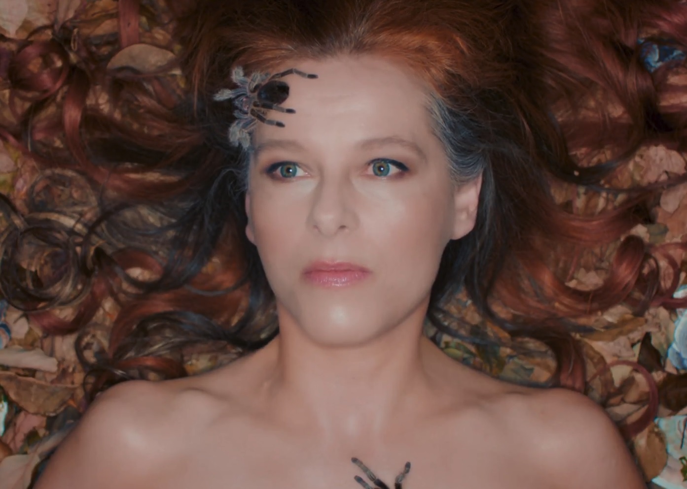 Neko case spiders mar18
