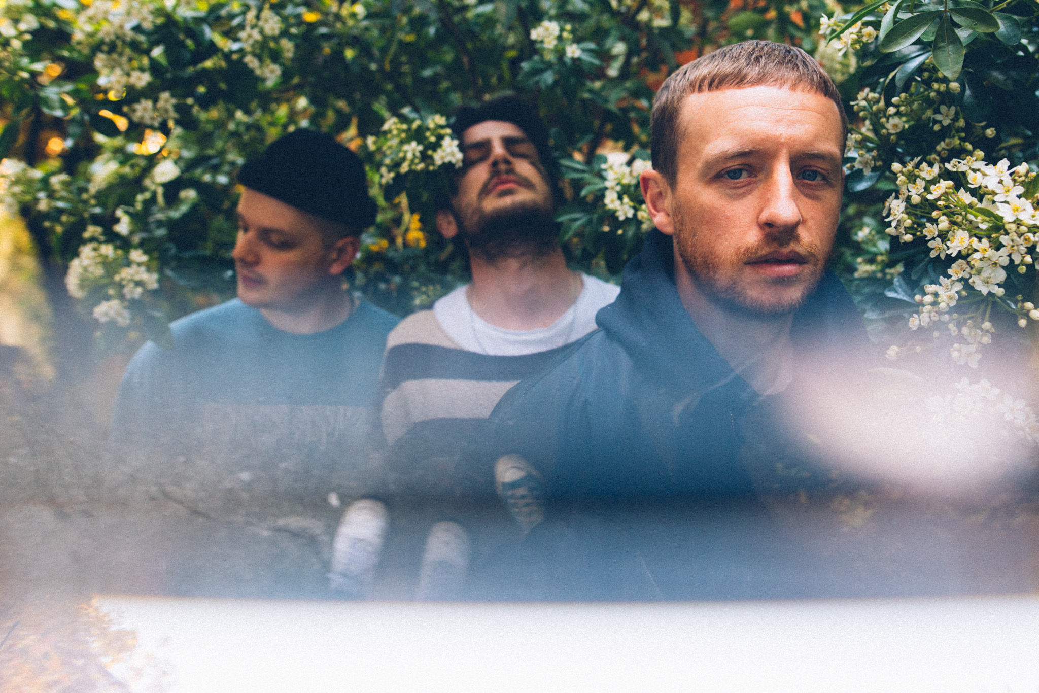 Newfamiliar by Parri Thomas for The Line of Best Fit 4