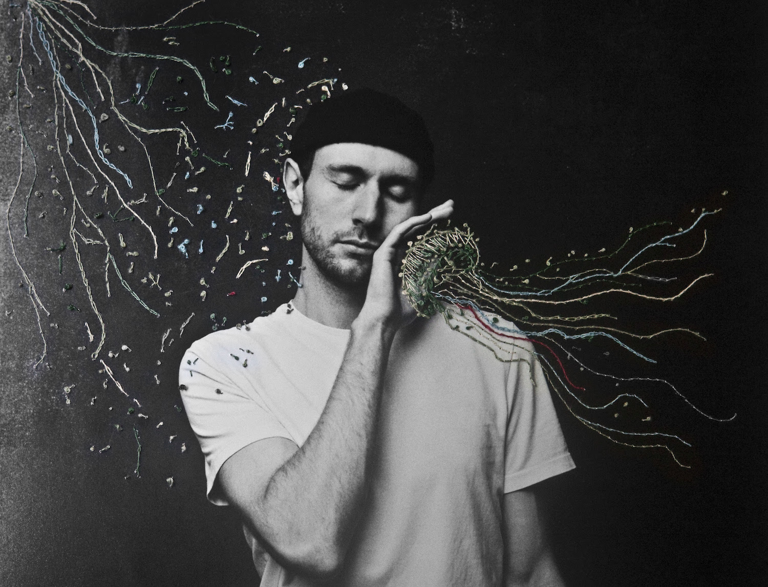 Novo amor daniel alexander harris