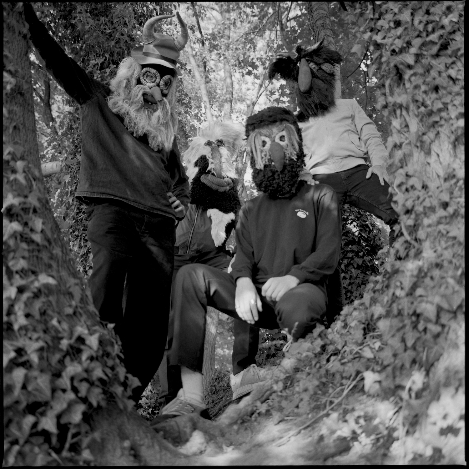 Pantha du prince trees