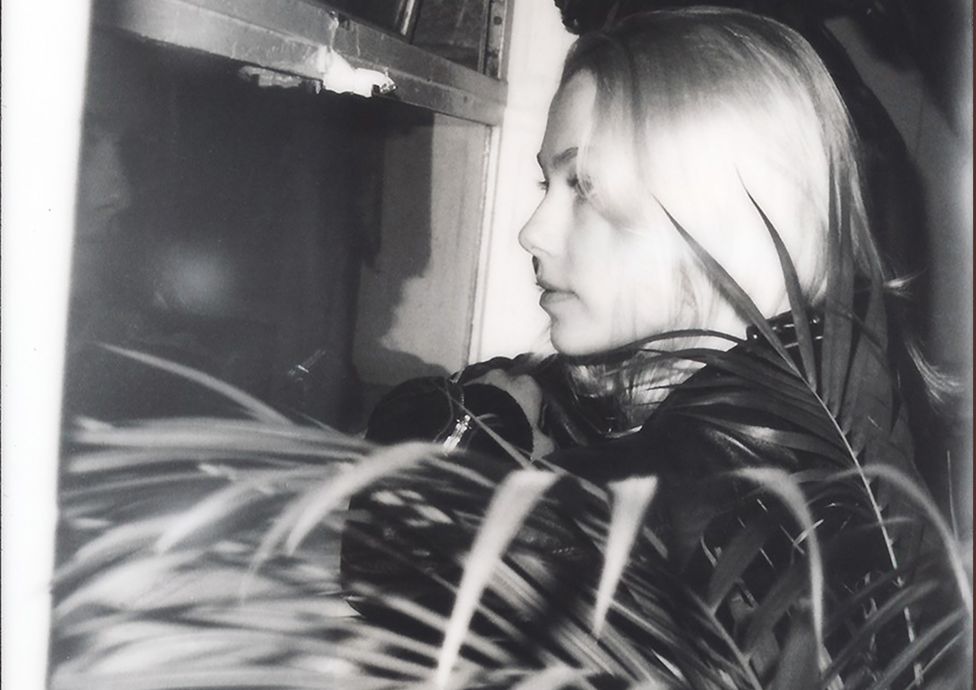 Phoebe bridgers longread