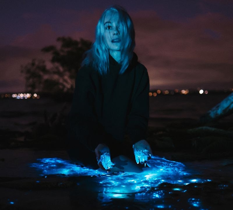 Phoebe bridgers