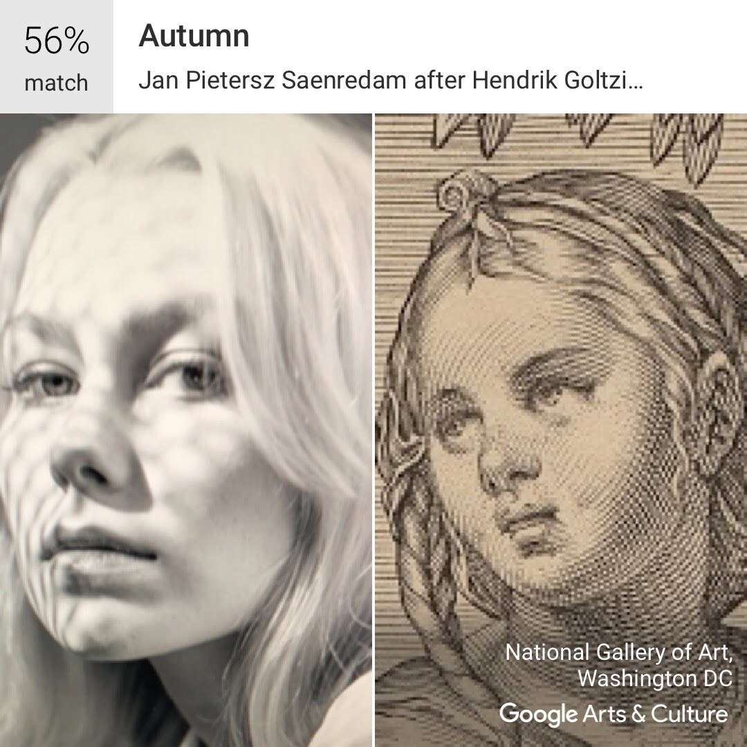Phoebe bridgers google art