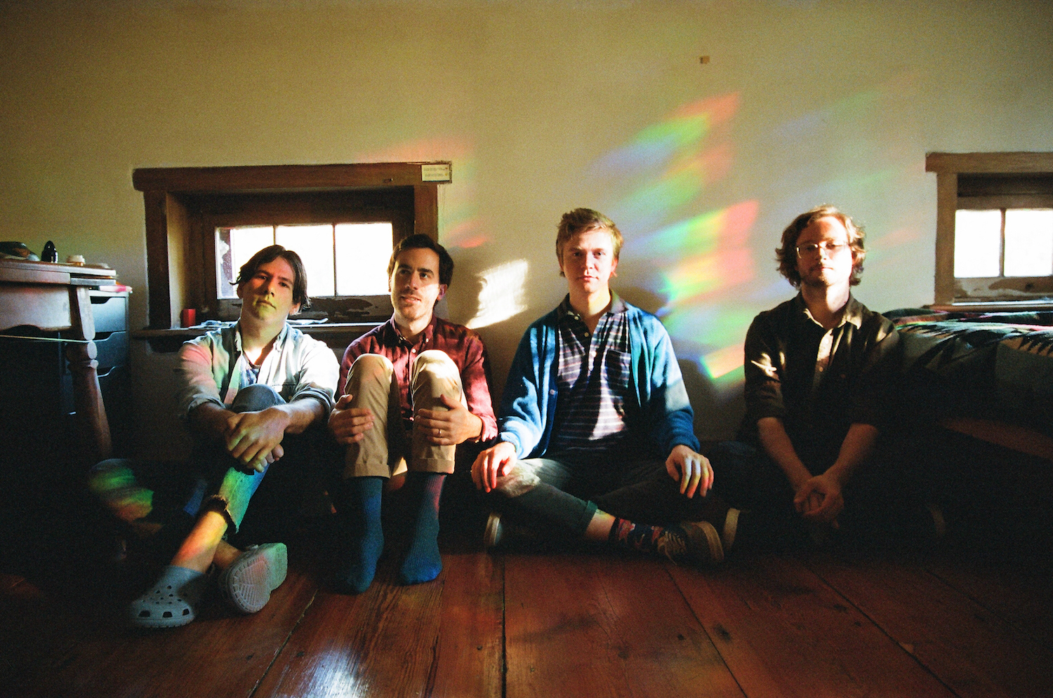 Pinegrove marigold