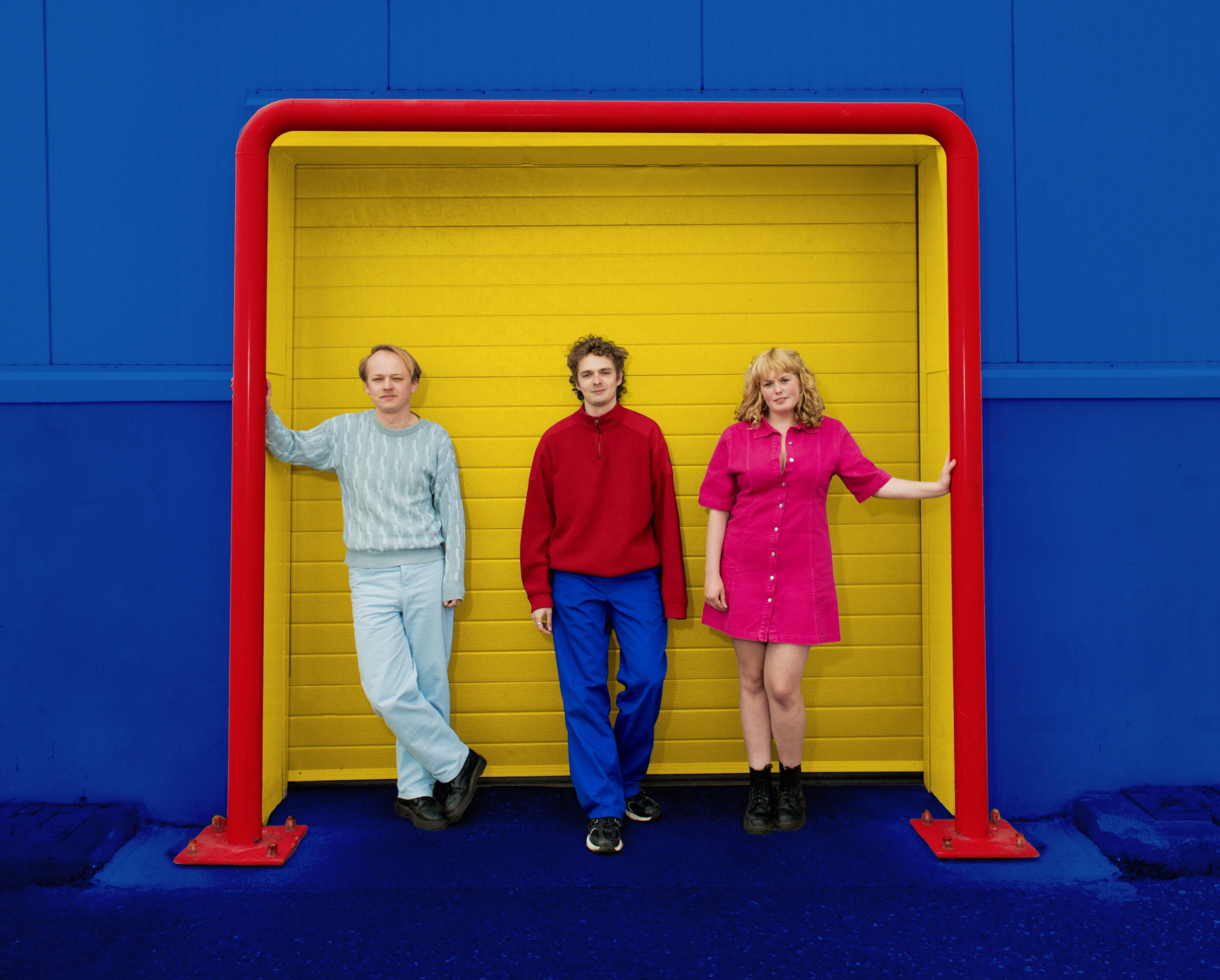 Pip blom coloured goal post