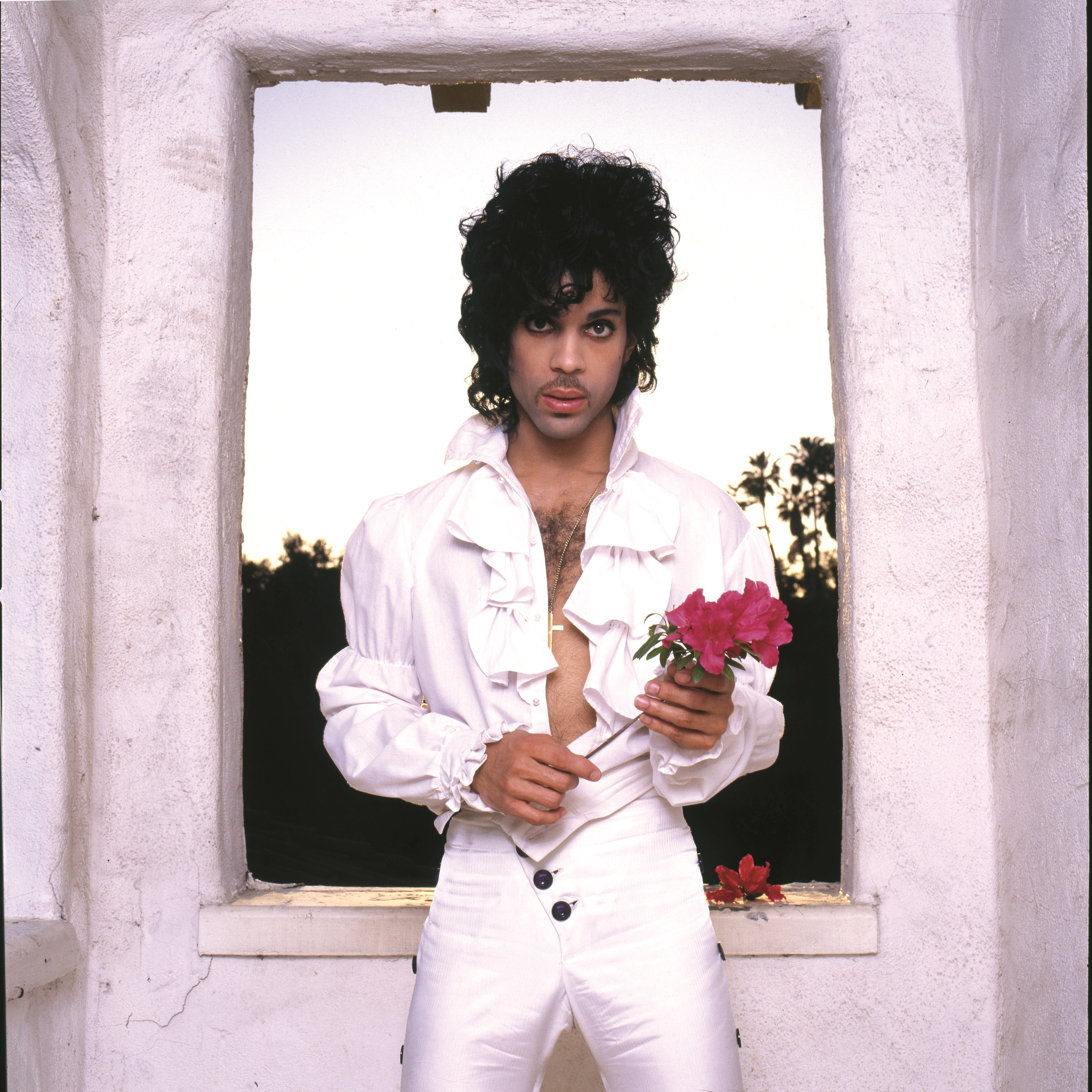 Prince purple rain apr17