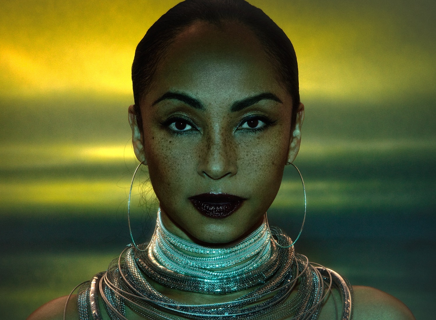 Sade soldier of love art