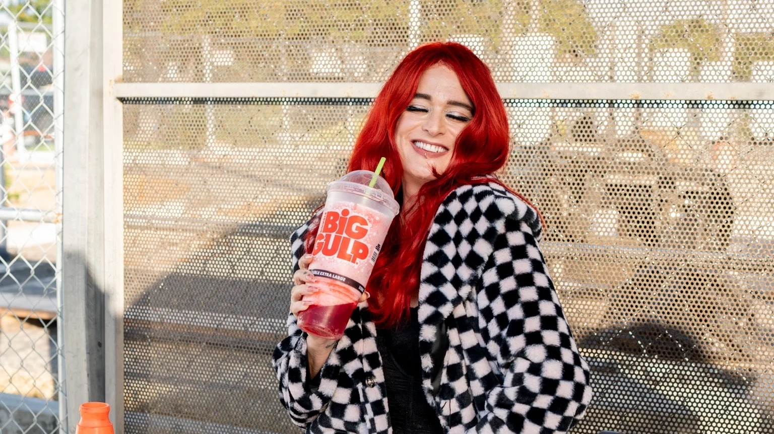 Save ferris 26