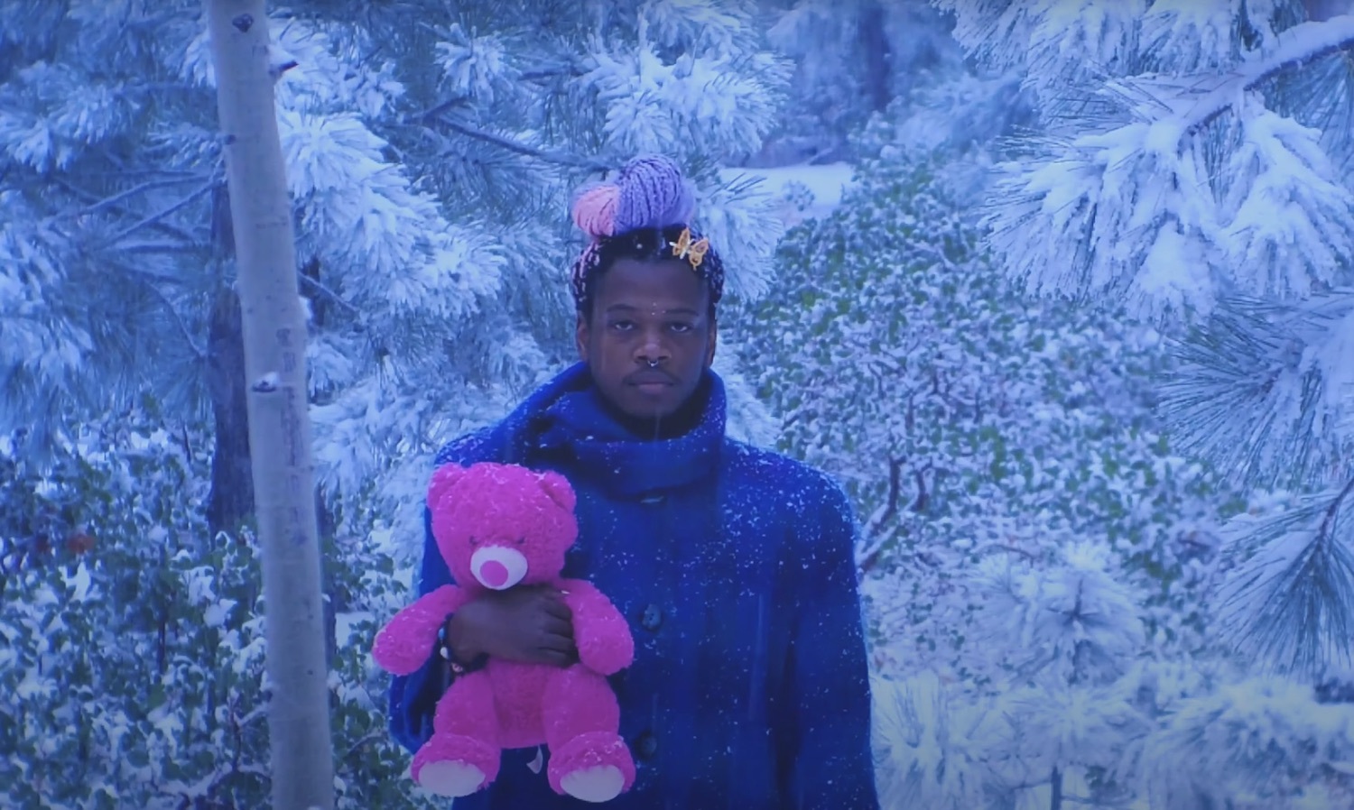 Shamir diet video
