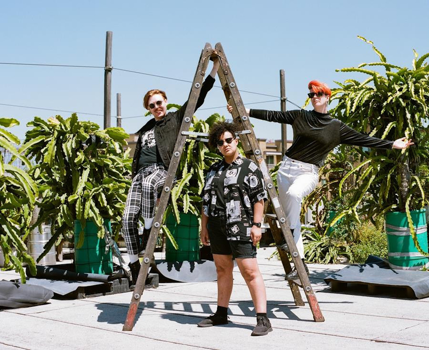 Shopping all or nothing matt draper