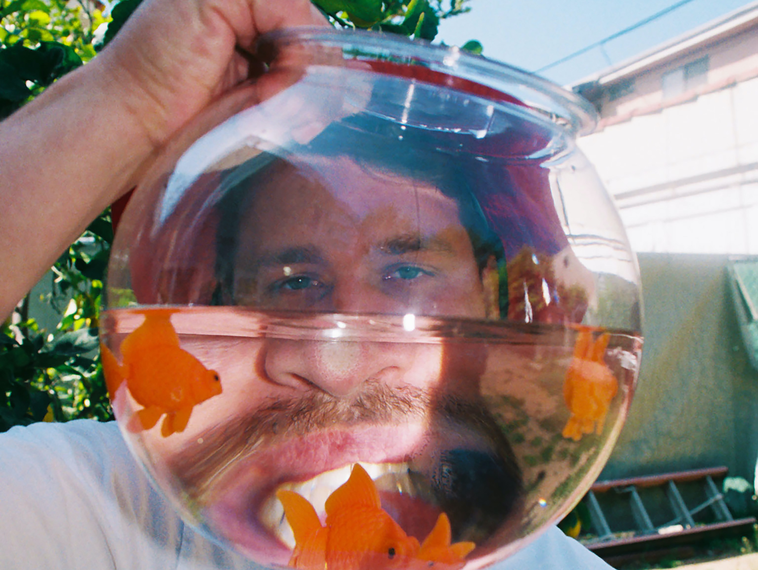 Slimdan fishbowl