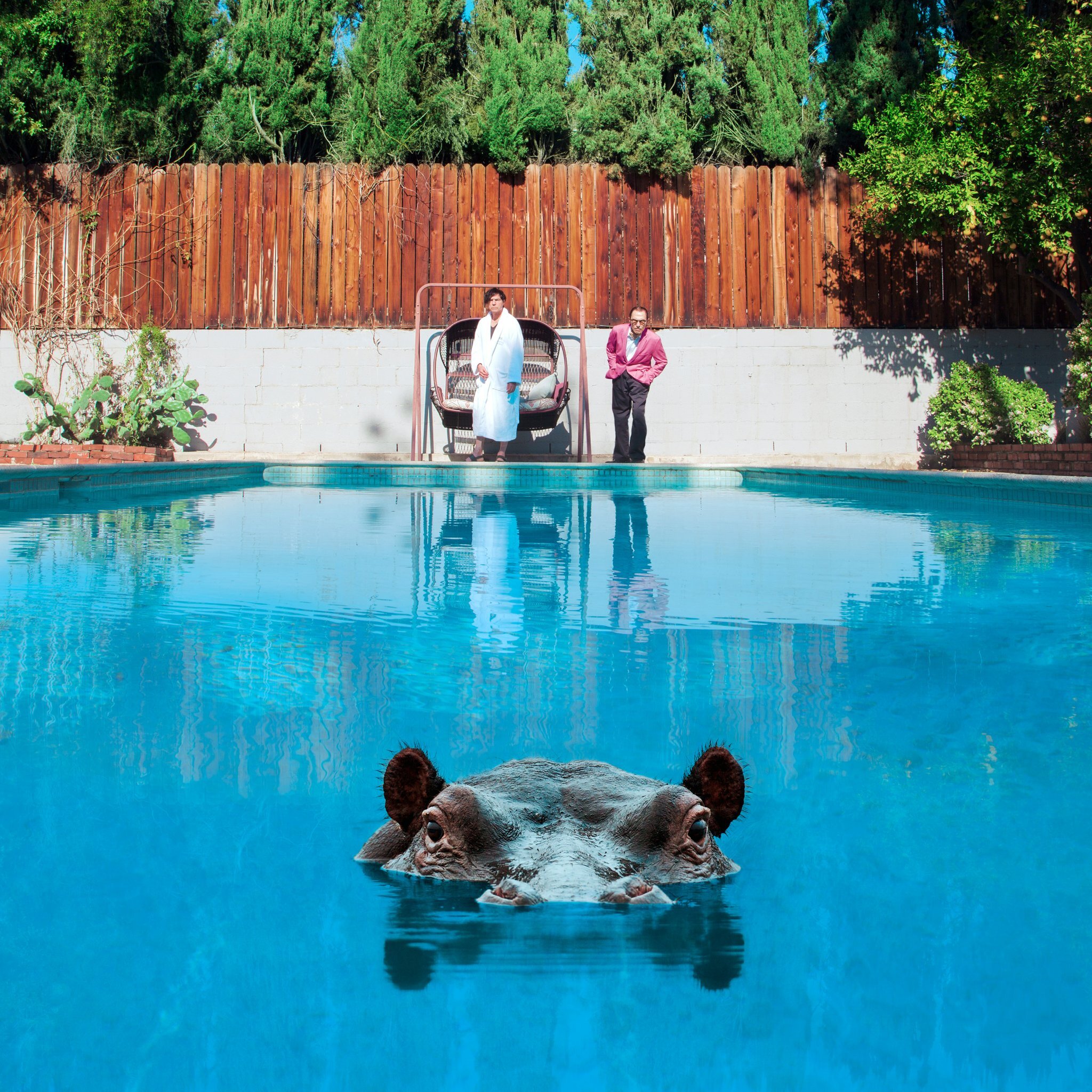 Sparks hippo