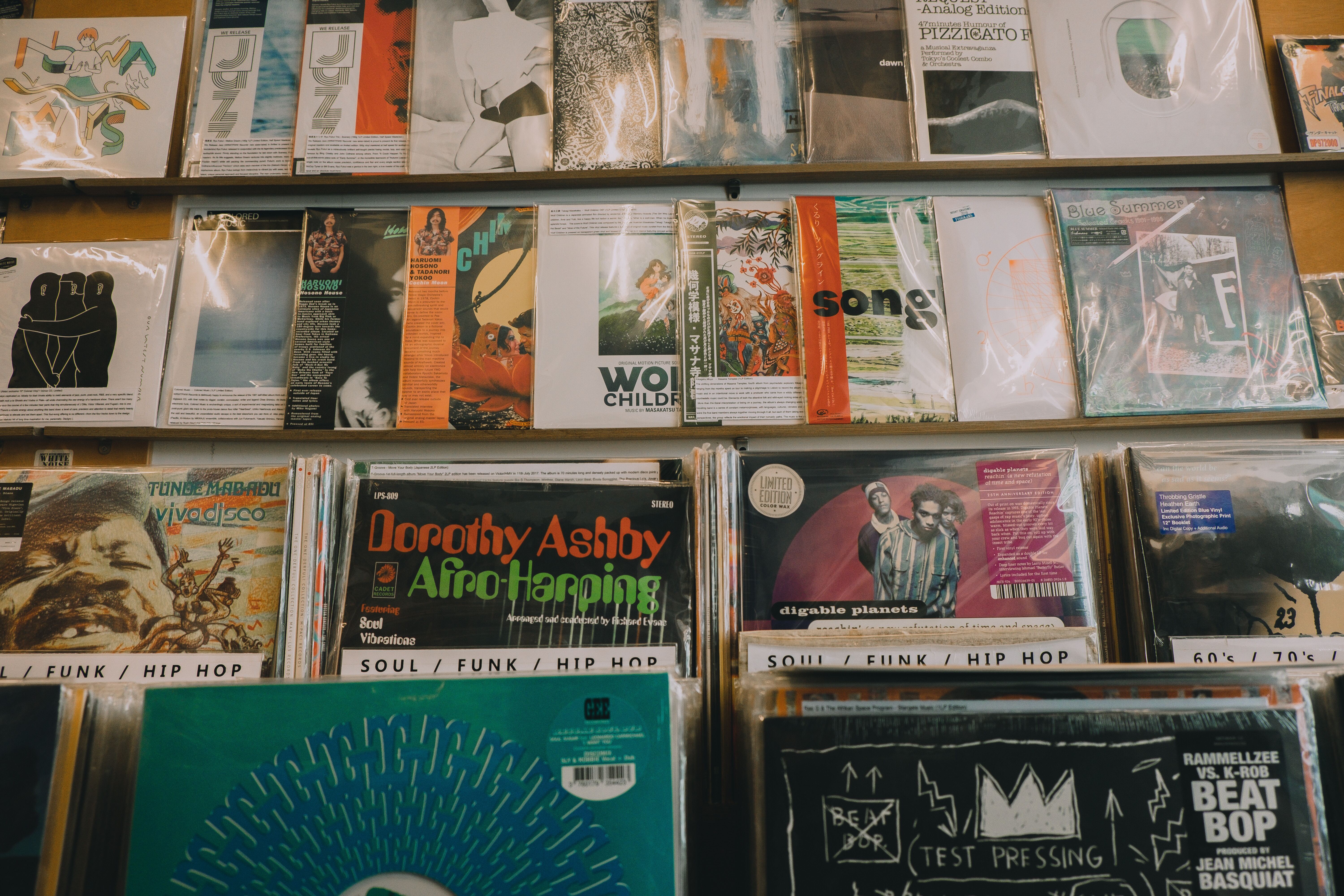 Surya urs 1139195 unsplash