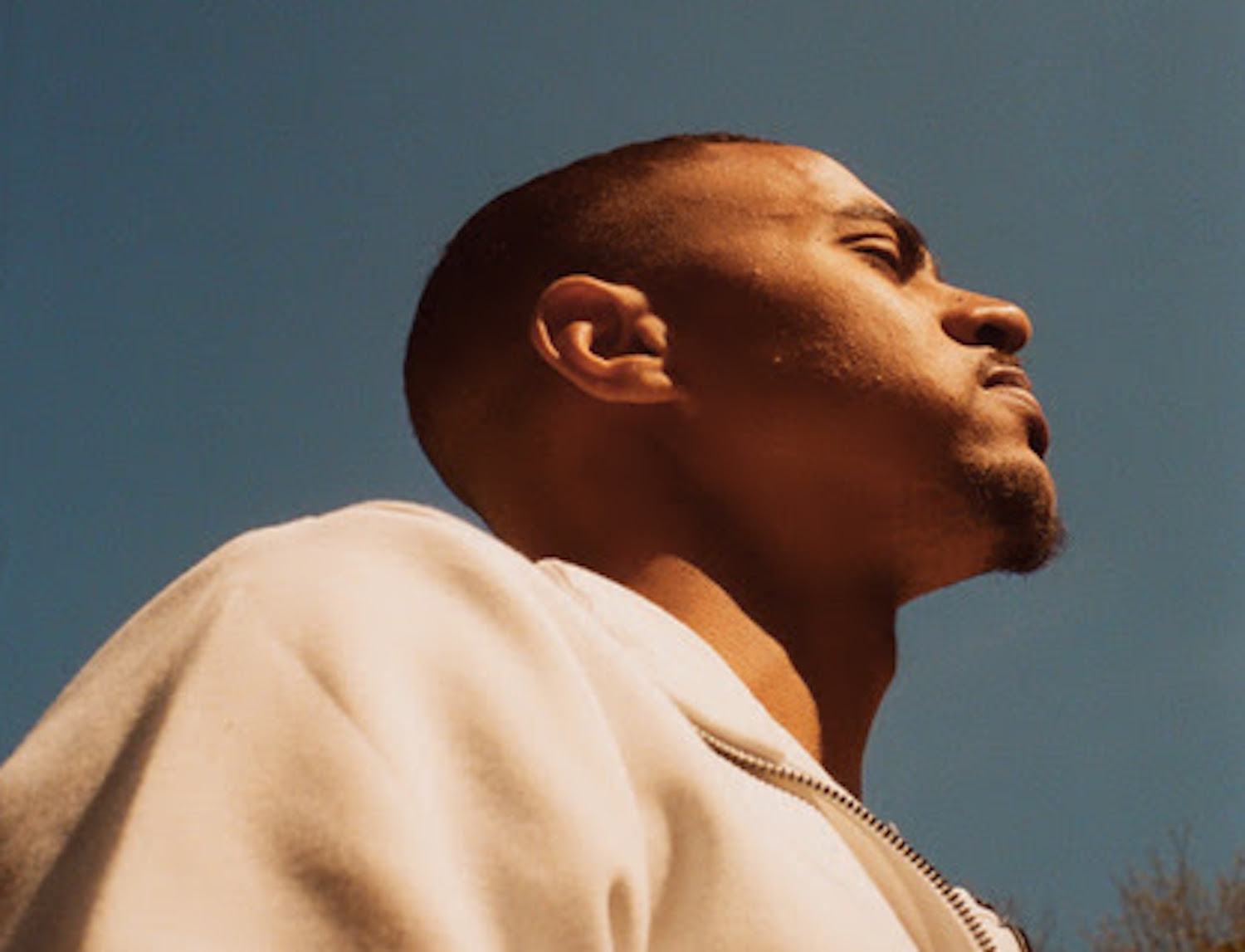 Swindle 2021 Lauren Luxenberg