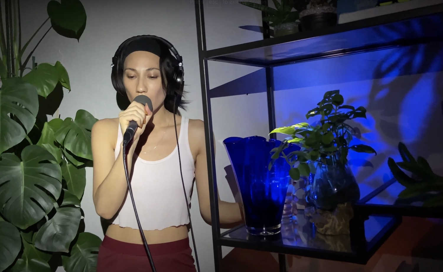 Tei shi Bassically acoustic live youtube