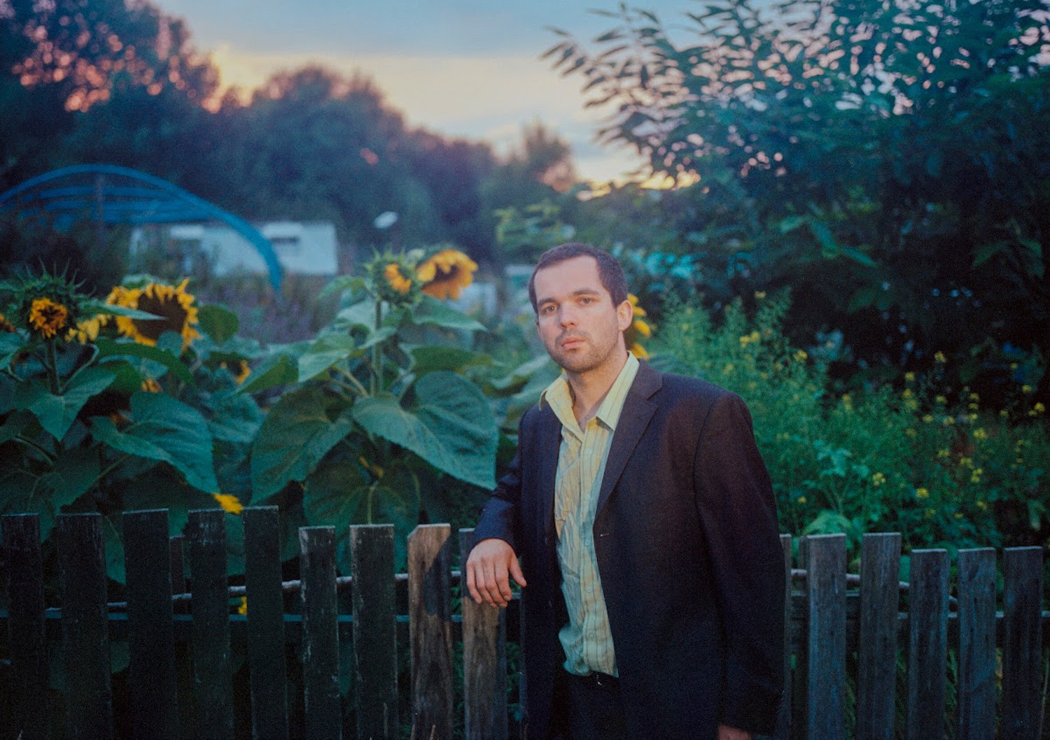 The GOLDEN DREGS sunflowers and sunrise