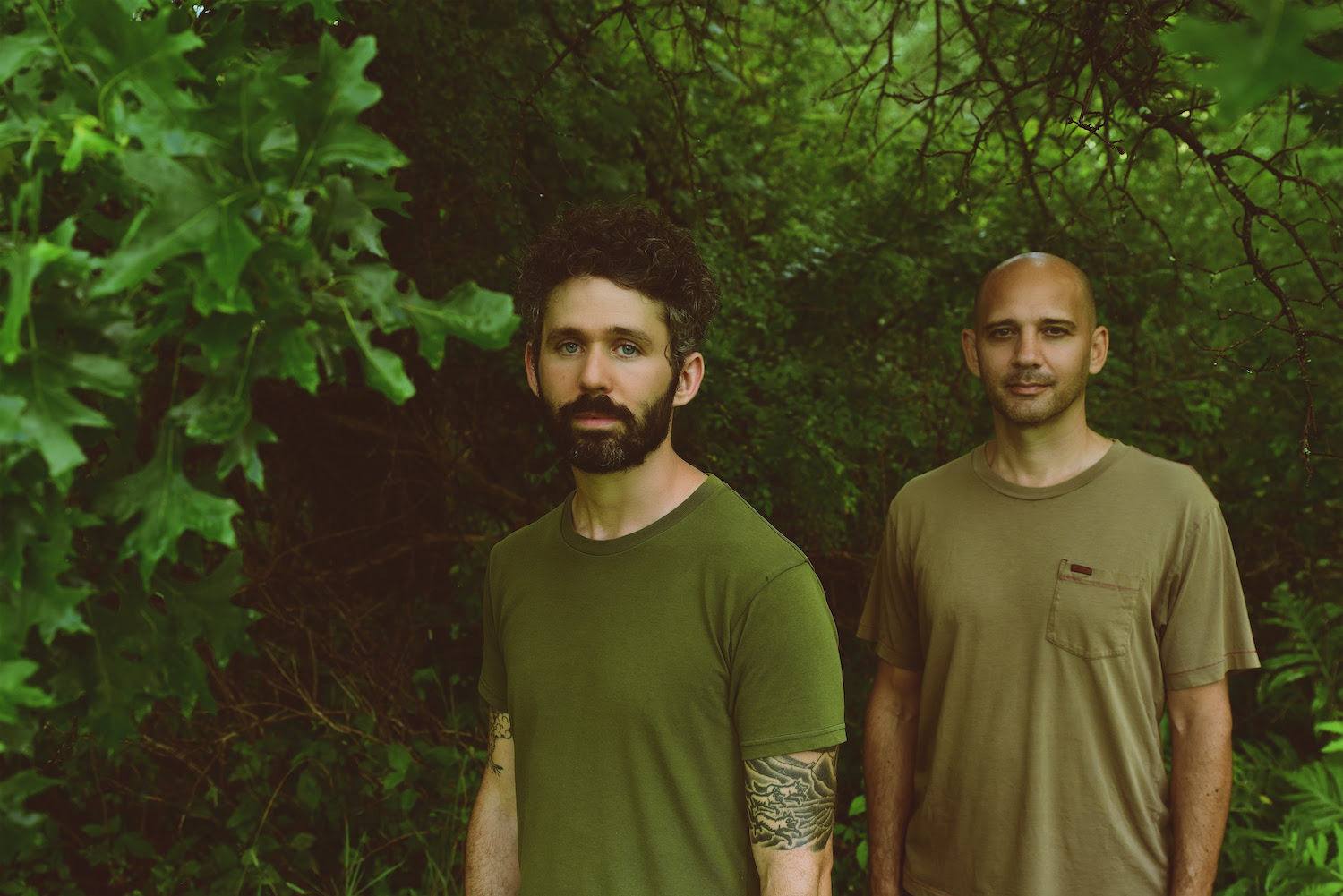 The antlers 4 Shervin Lainez