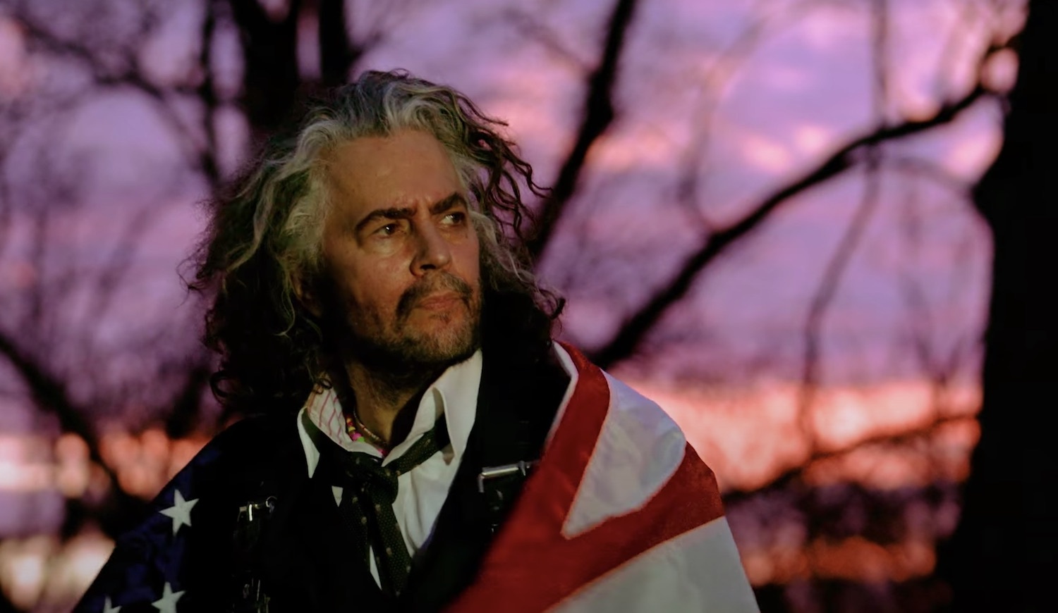 The flaming lips flowers of neptune 6 video