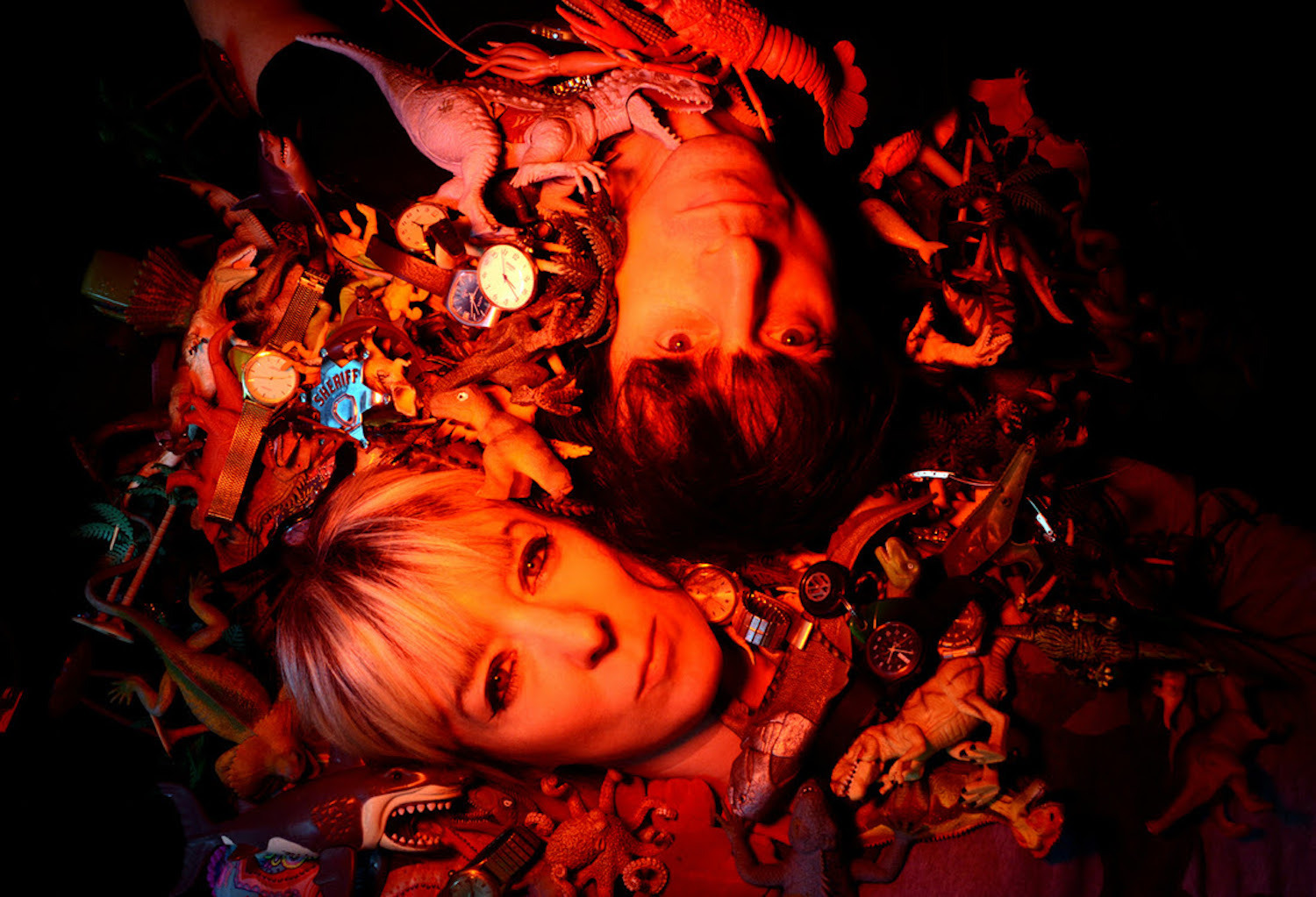 The lovely eggs 2020 darren andrews