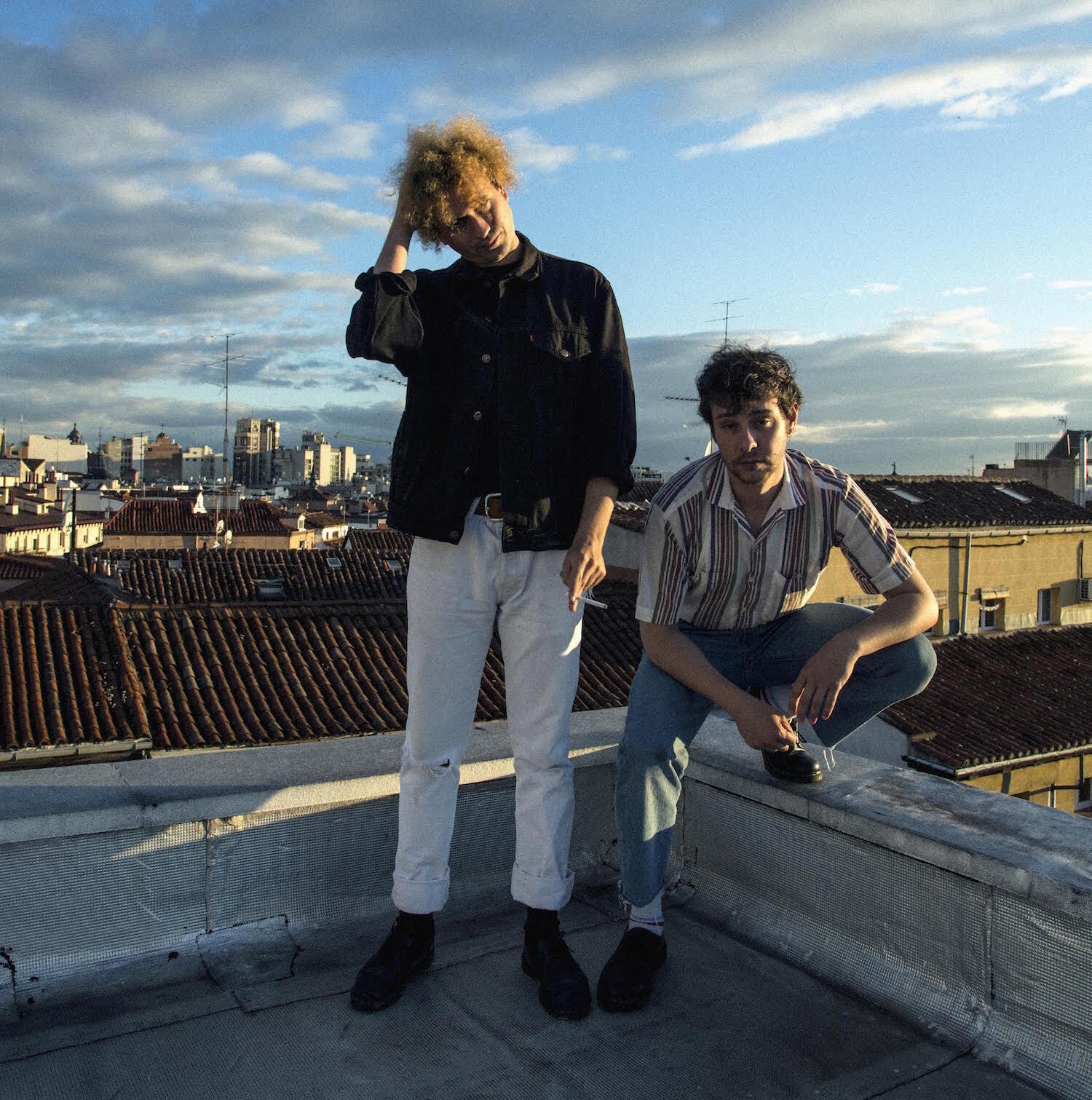 The parrots 2018